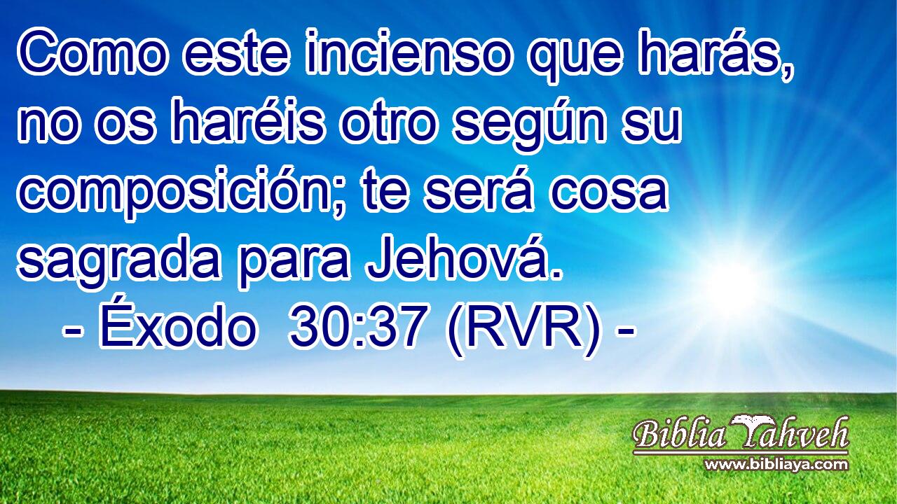 Como este incienso que harás, no os haréis otro según su composición; te será cosa sagrada para Jehová.