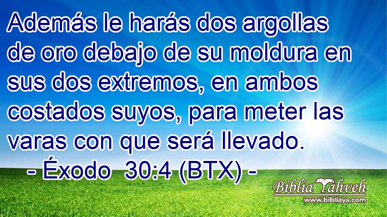 Además le harás dos argollas de oro debajo de su moldura en sus dos extremos, en ambos costados suyos, para meter las varas con que será llevado.