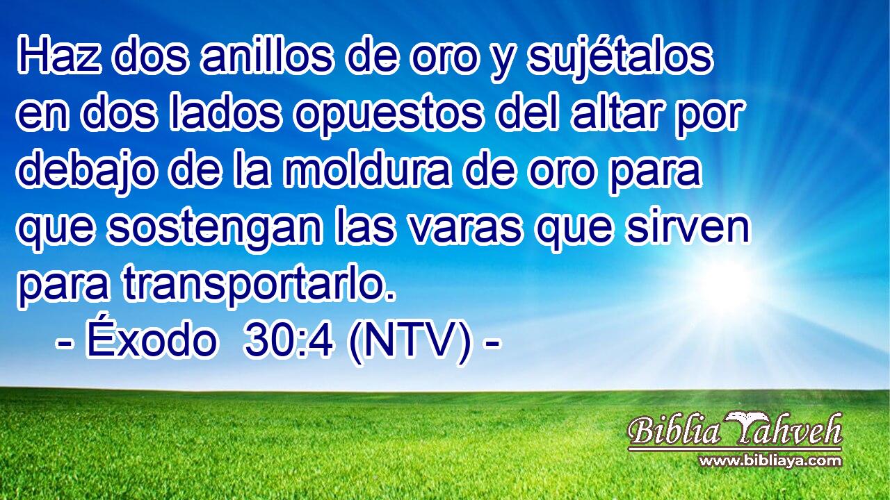 Haz dos anillos de oro y sujétalos en dos lados opuestos del altar por debajo de la moldura de oro para que sostengan las varas que sirven para transportarlo.