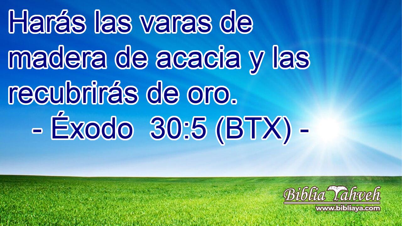 Harás las varas de madera de acacia y las recubrirás de oro.