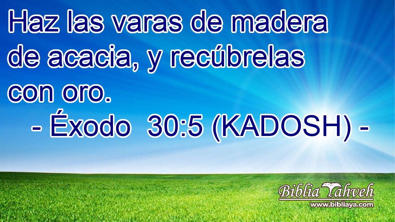  Haz las varas de madera de acacia, y recúbrelas con oro. 