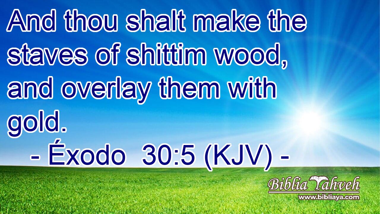And thou shalt make the staves of shittim wood, and overlay them with gold.