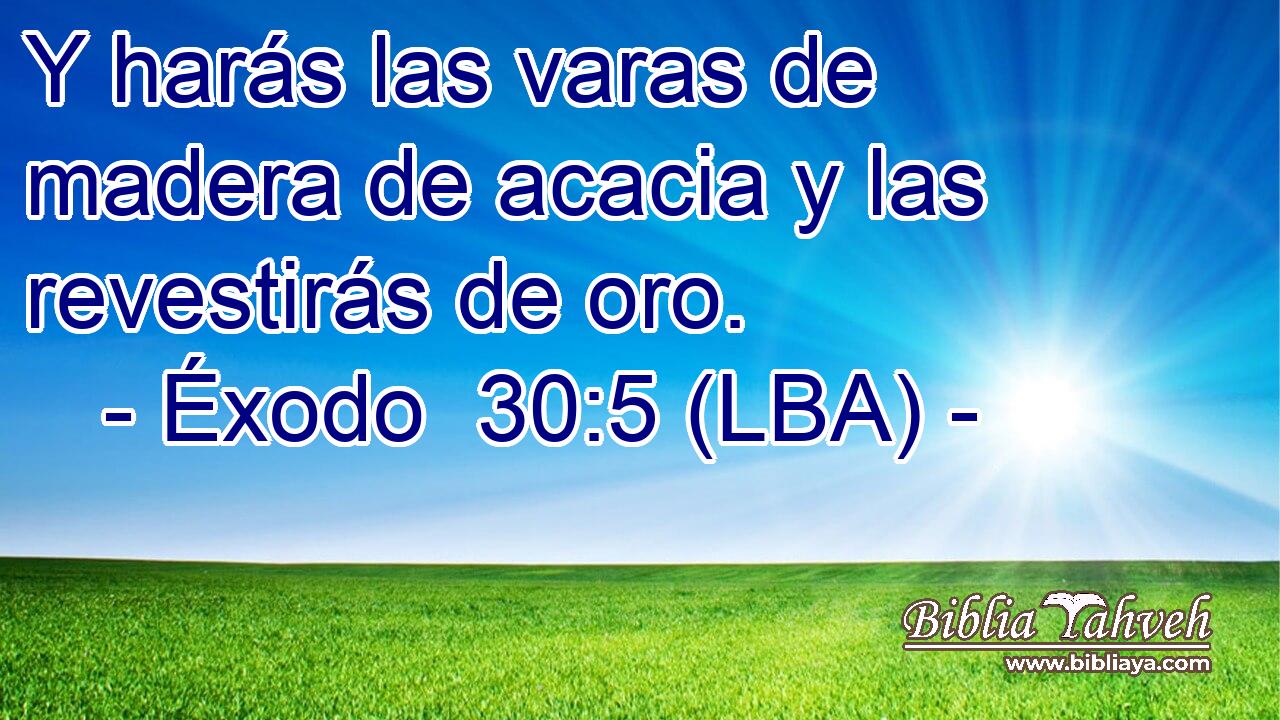 Y harás las varas de madera de acacia y las revestirás de oro.