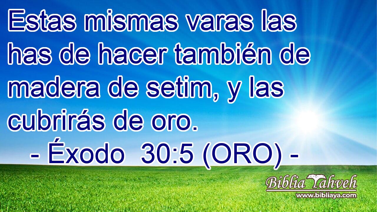  Estas mismas varas las has de hacer también de madera de setim, y las cubrirás de oro. 