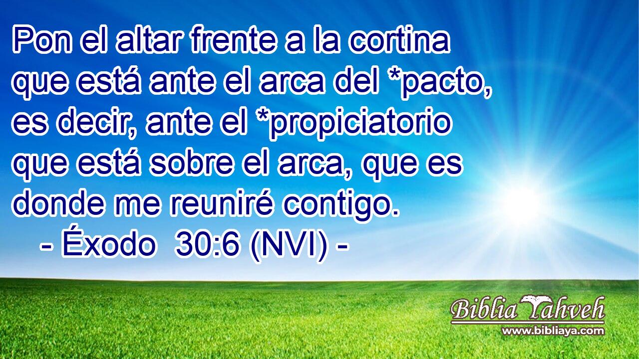  Pon el altar frente a la cortina que está ante el arca del *pacto, es decir, ante el *propiciatorio que está sobre el arca, que es donde me reuniré contigo. 