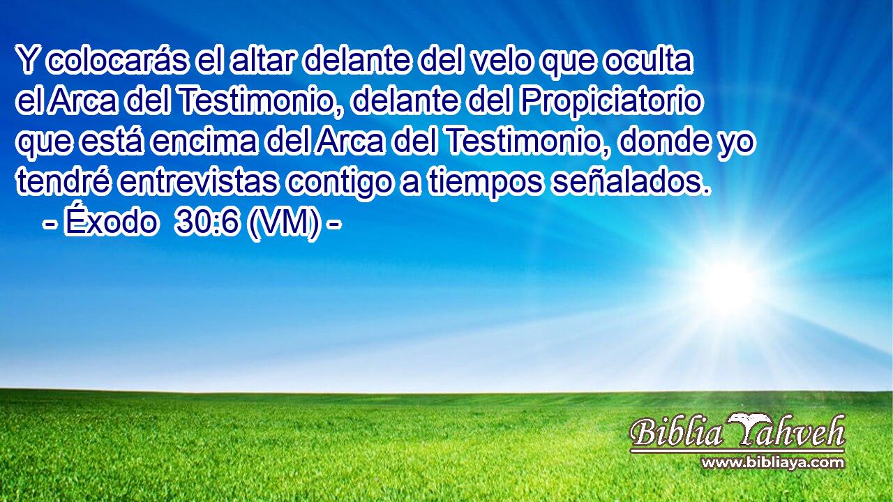 Y colocarás el altar delante del velo que oculta el Arca del Testimonio, delante del Propiciatorio que está encima del Arca del Testimonio, donde yo tendré entrevistas contigo a tiempos señalados. 