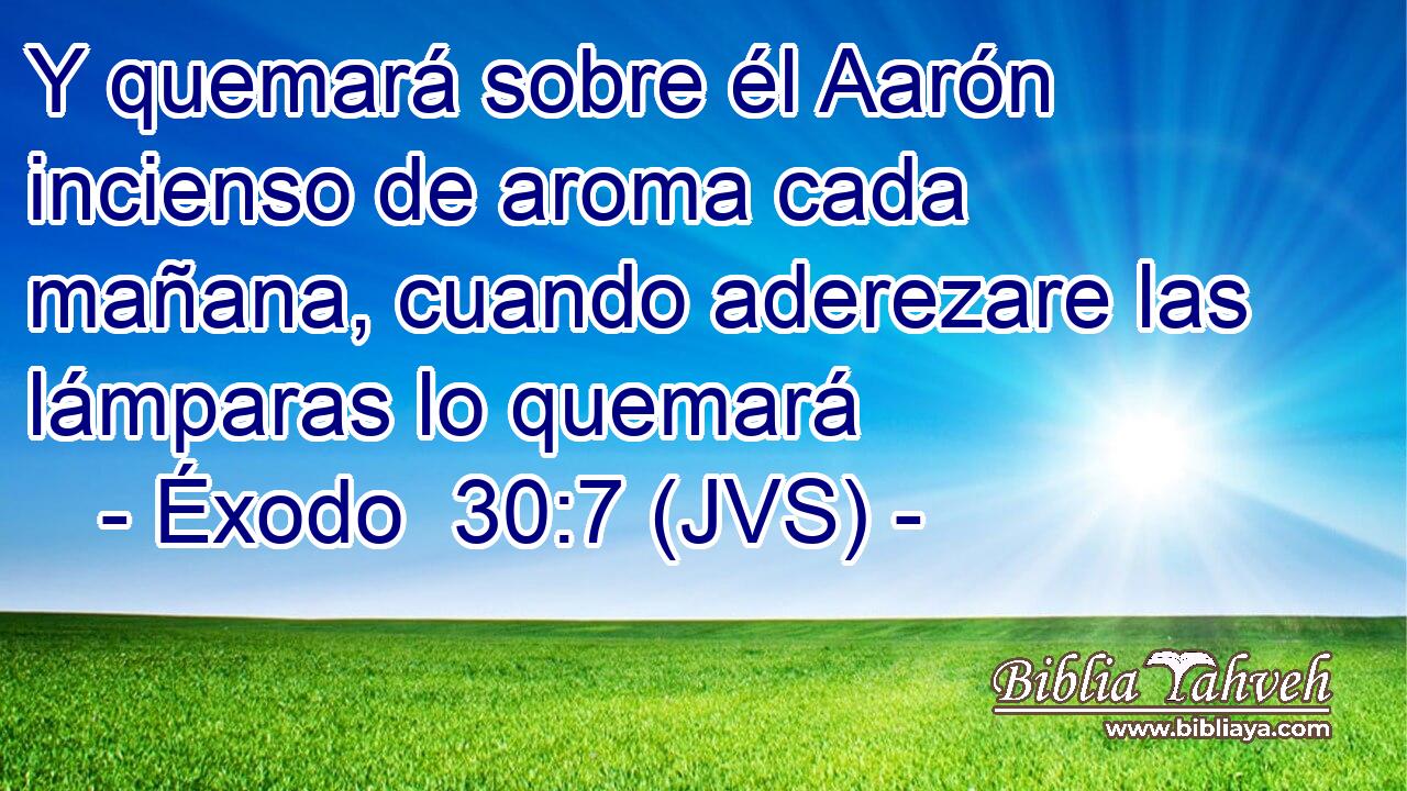 Y quemará sobre él Aarón incienso de aroma cada mañana, cuando aderezare las lámparas lo quemará