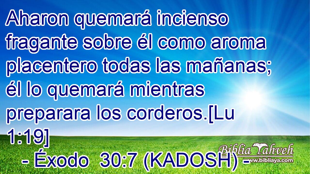  Aharon quemará incienso fragante sobre él como aroma placentero todas las mañanas; él lo quemará mientras preparara los corderos.[Lu 1:19] 