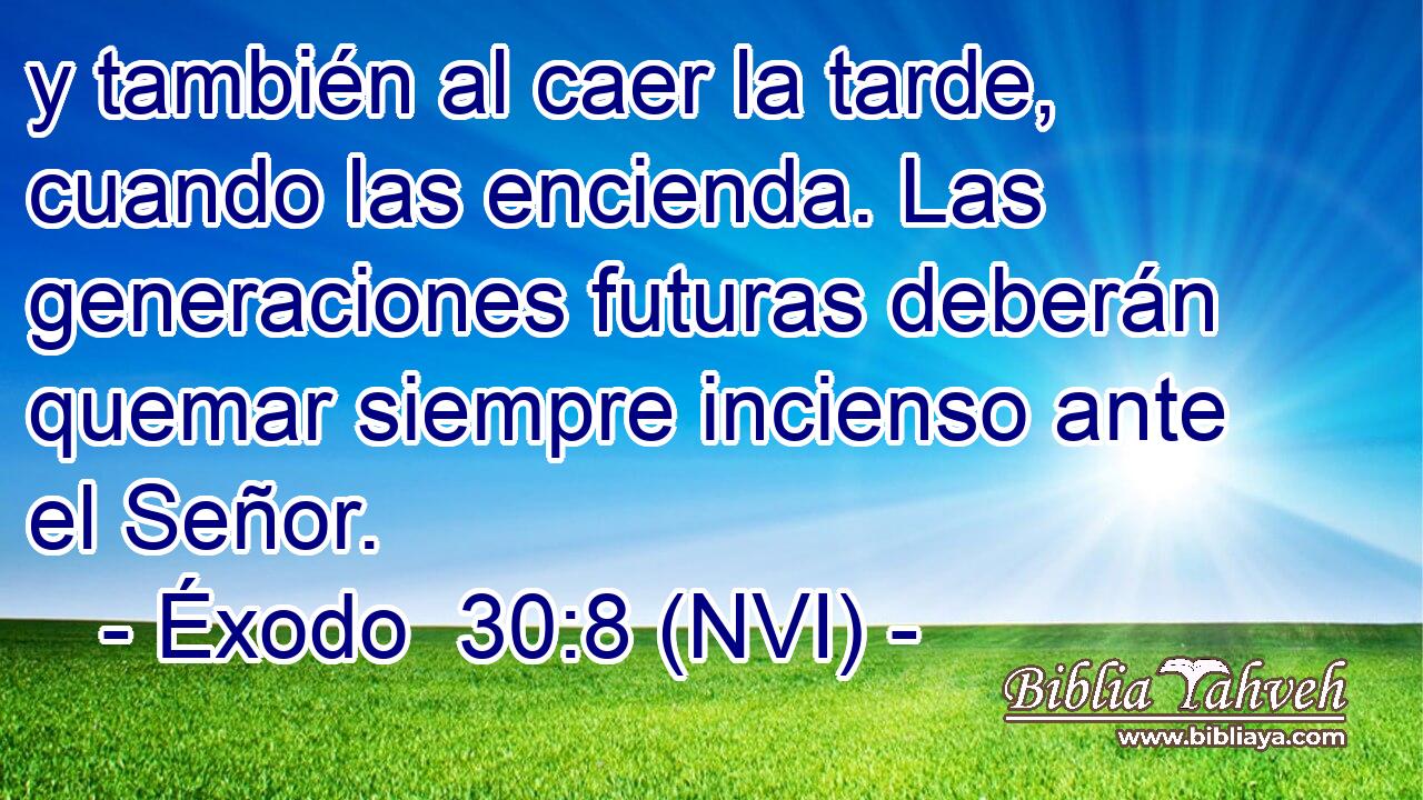  y también al caer la tarde, cuando las encienda. Las generaciones futuras deberán quemar siempre incienso ante el Señor. 