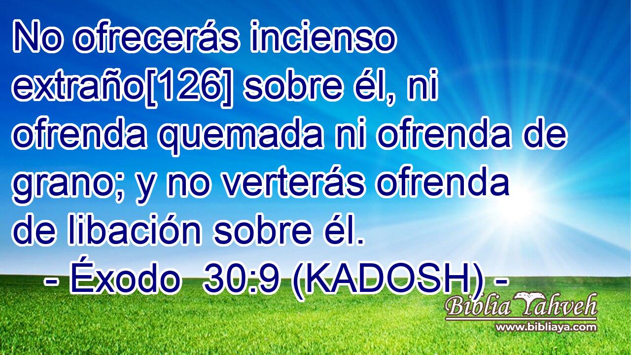  No ofrecerás incienso extraño[126] sobre él, ni ofrenda quemada ni ofrenda de grano; y no verterás ofrenda de libación sobre él. 