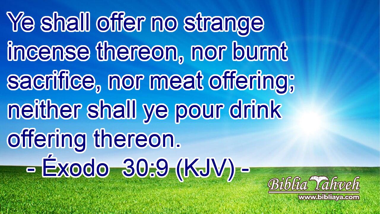 Ye shall offer no strange incense thereon, nor burnt sacrifice, nor meat offering; neither shall ye pour drink offering thereon.