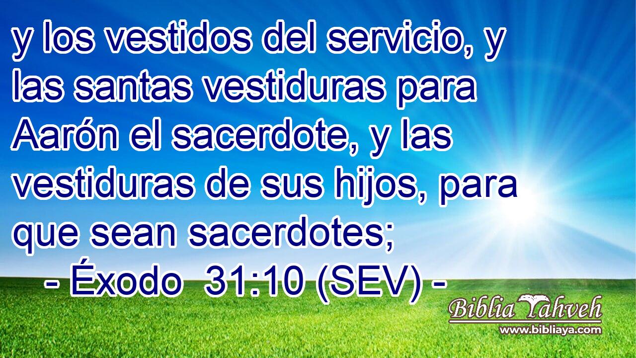 y los vestidos del servicio, y las santas vestiduras para Aarón el sacerdote, y las vestiduras de sus hijos, para que sean sacerdotes;