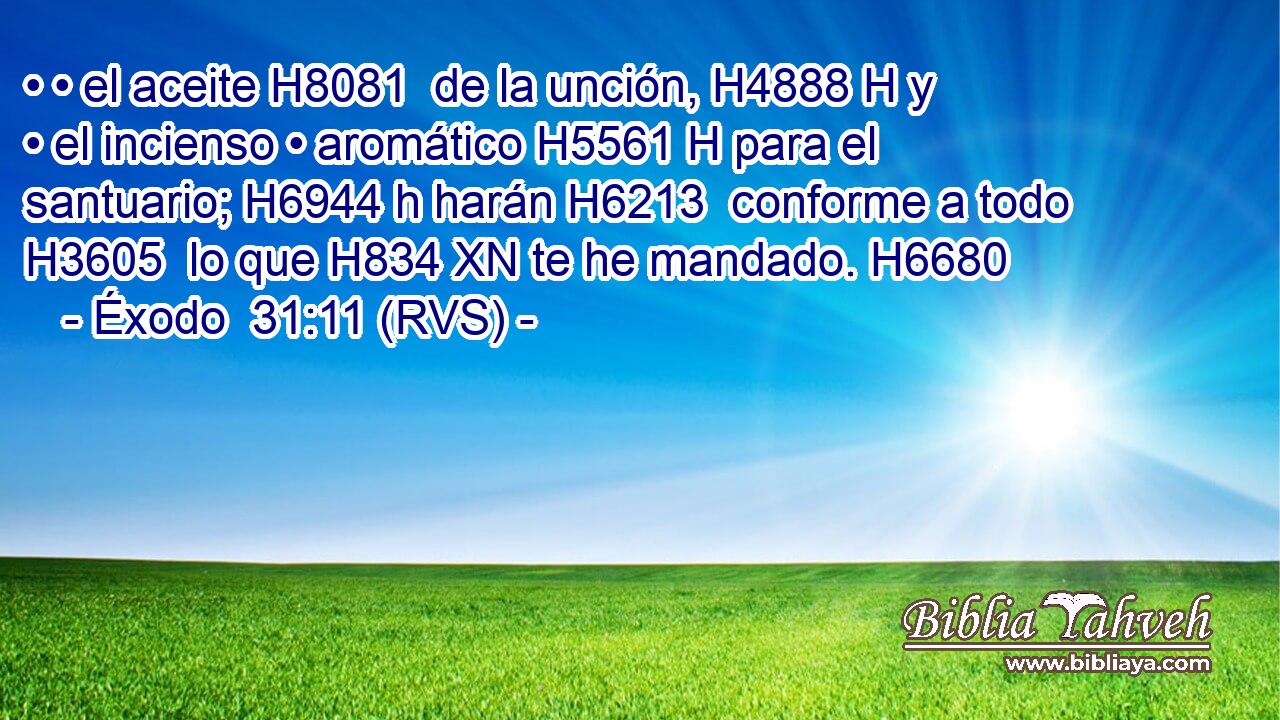 • • el aceite H8081  de la unción, H4888 H y • el incienso • aromático H5561 H para el santuario; H6944 h harán H6213  conforme a todo H3605  lo que H834 XN te he mandado. H6680  