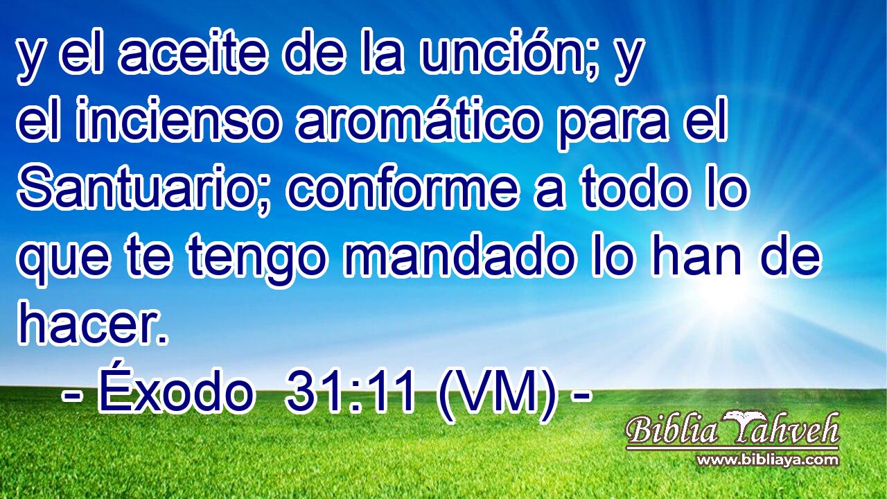  y el aceite de la unción; y el incienso aromático para el Santuario; conforme a todo lo que te tengo mandado lo han de hacer. 