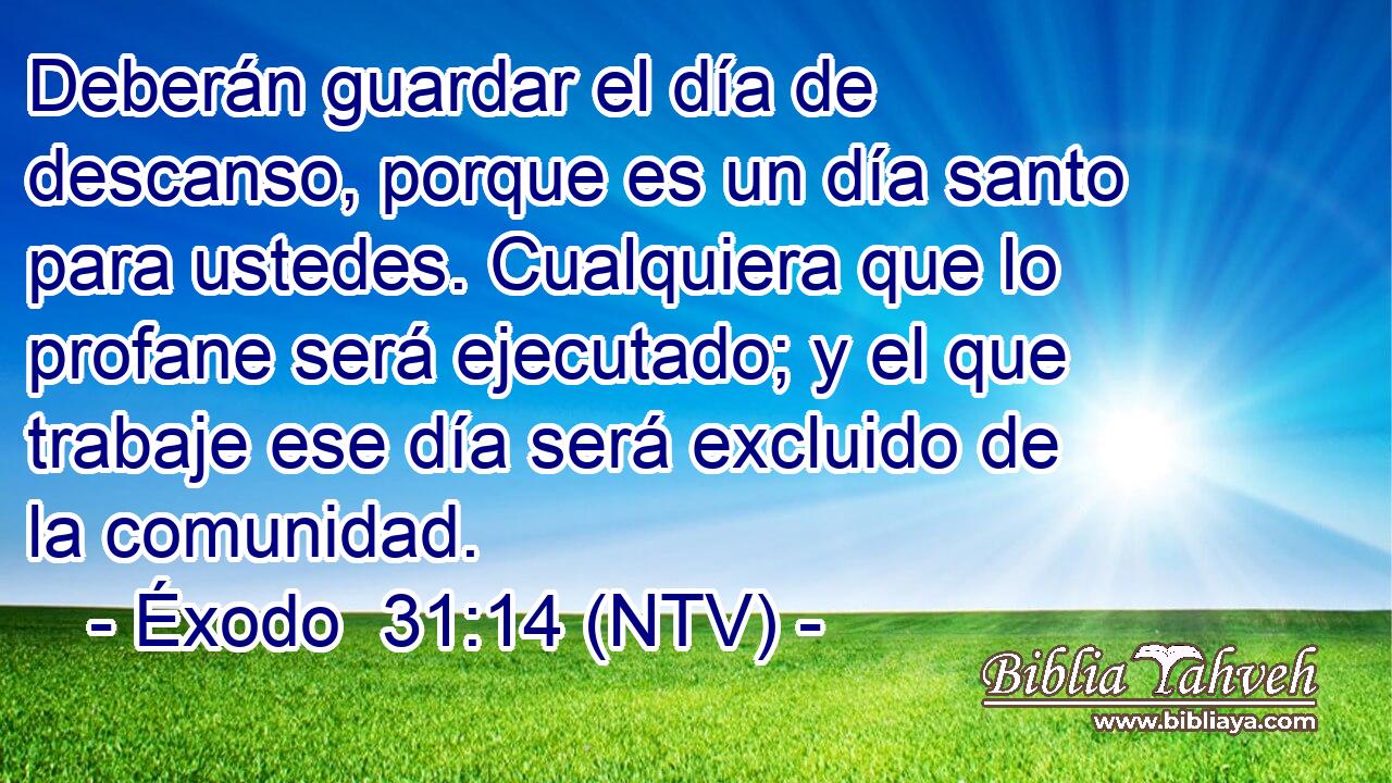 Deberán guardar el día de descanso, porque es un día santo para ustedes. Cualquiera que lo profane será ejecutado; y el que trabaje ese día será excluido de la comunidad.
