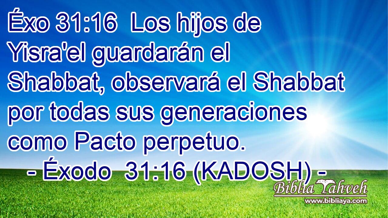  Los hijos de Yisra'el guardarán el Shabbat, observará el Shabbat por todas sus generaciones como Pacto perpetuo. 