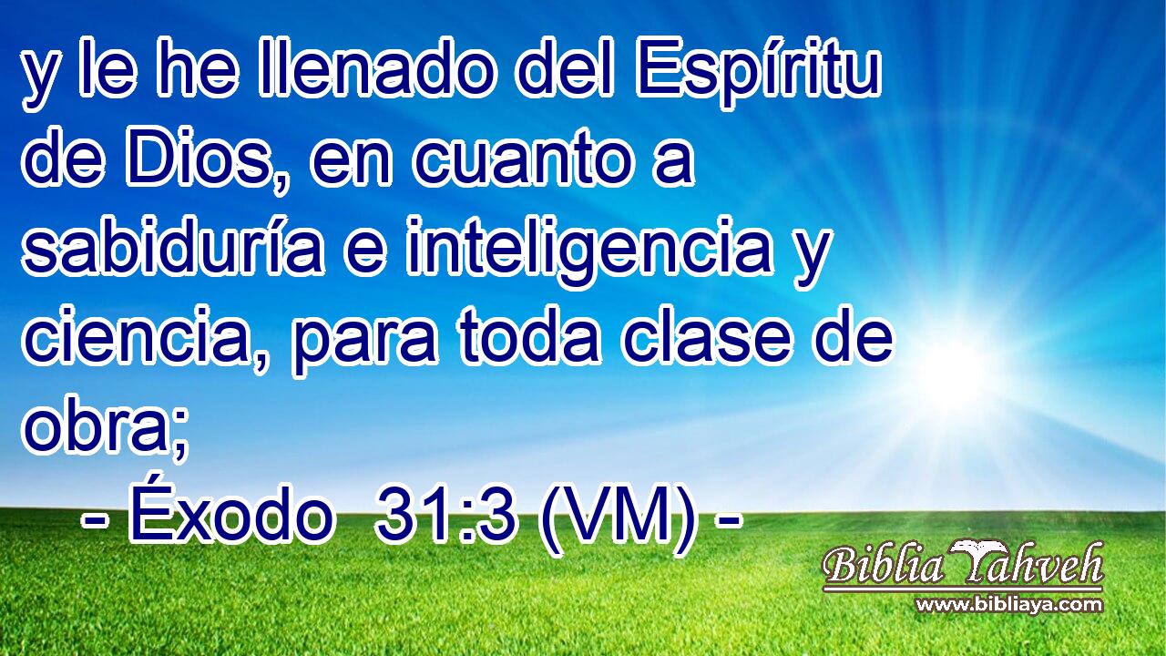  y le he llenado del Espíritu de Dios, en cuanto a sabiduría e inteligencia y ciencia, para toda clase de obra; 