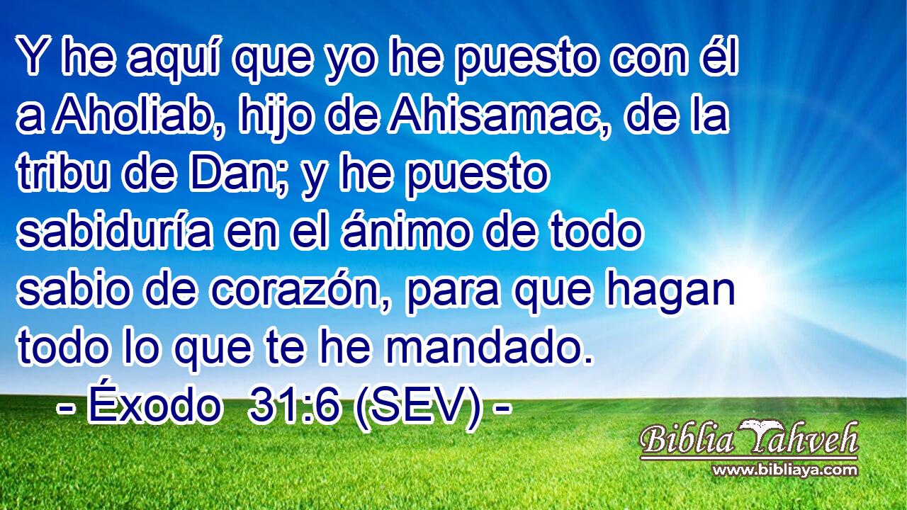 Y he aquí que yo he puesto con él a Aholiab, hijo de Ahisamac, de la tribu de Dan; y he puesto sabiduría en el ánimo de todo sabio de corazón, para que hagan todo lo que te he mandado.