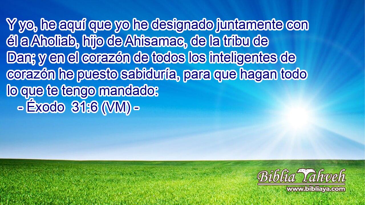  Y yo, he aquí que yo he designado juntamente con él a Aholiab, hijo de Ahisamac, de la tribu de Dan; y en el corazón de todos los inteligentes de corazón he puesto sabiduría, para que hagan todo lo que te tengo mandado: 