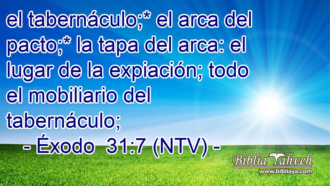 el tabernáculo;* el arca del pacto;* la tapa del arca: el lugar de la expiación; todo el mobiliario del tabernáculo;