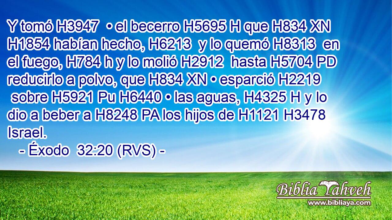 Y tomó H3947  • el becerro H5695 H que H834 XN H1854 habían hecho, H6213  y lo quemó H8313  en el fuego, H784 h y lo molió H2912  hasta H5704 PD reducirlo a polvo, que H834 XN • esparció H2219  sobre H5921 Pu H6440 • las aguas, H4325 H y lo dio a beber a H8248 PA los hijos de H1121 H3478 Israel. 