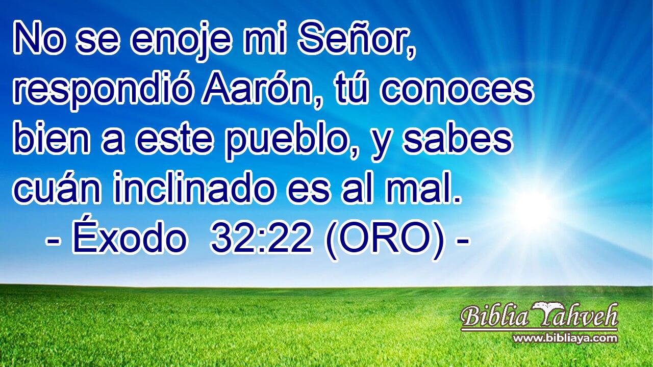  No se enoje mi Señor, respondió Aarón, tú conoces bien a este pueblo, y sabes cuán inclinado es al mal. 