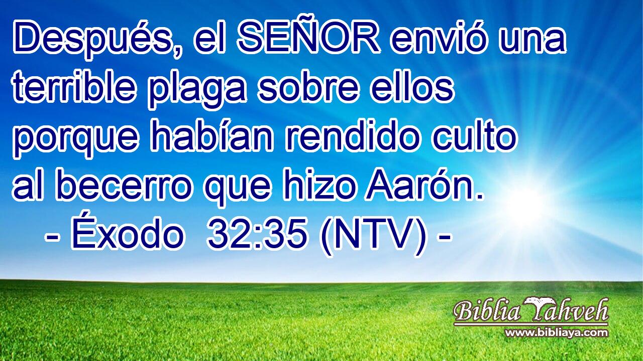 Después, el SEÑOR envió una terrible plaga sobre ellos porque habían rendido culto al becerro que hizo Aarón.
