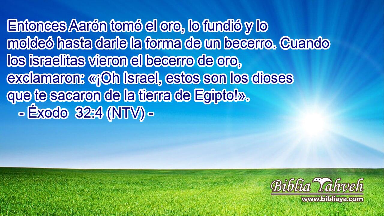 Entonces Aarón tomó el oro, lo fundió y lo moldeó hasta darle la forma de un becerro. Cuando los israelitas vieron el becerro de oro, exclamaron: «¡Oh Israel, estos son los dioses que te sacaron de la tierra de Egipto!».