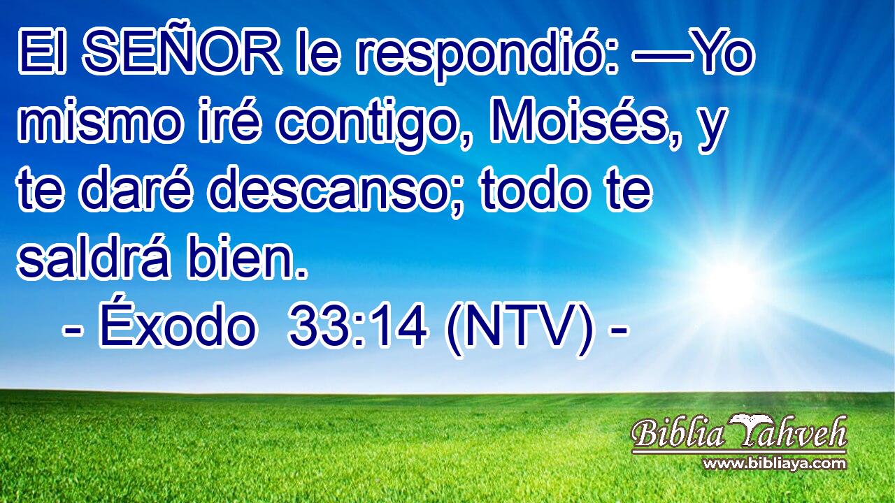 El SEÑOR le respondió: —Yo mismo iré contigo, Moisés, y te daré descanso; todo te saldrá bien.