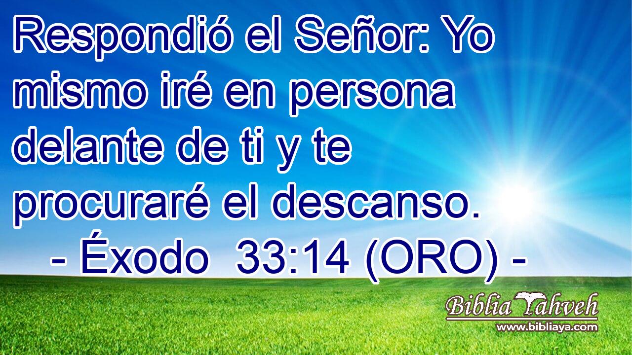  Respondió el Señor: Yo mismo iré en persona delante de ti y te procuraré el descanso. 