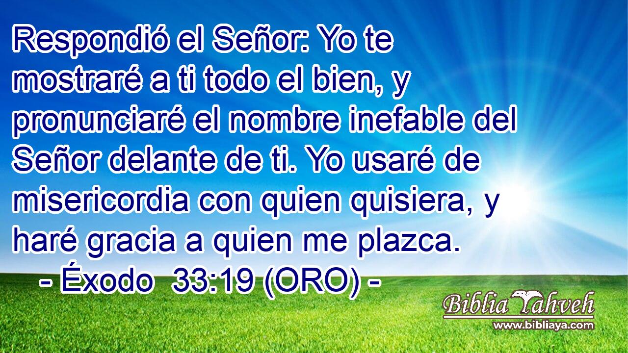  Respondió el Señor: Yo te mostraré a ti todo el bien, y pronunciaré el nombre inefable del Señor delante de ti. Yo usaré de misericordia con quien quisiera, y haré gracia a quien me plazca. 
