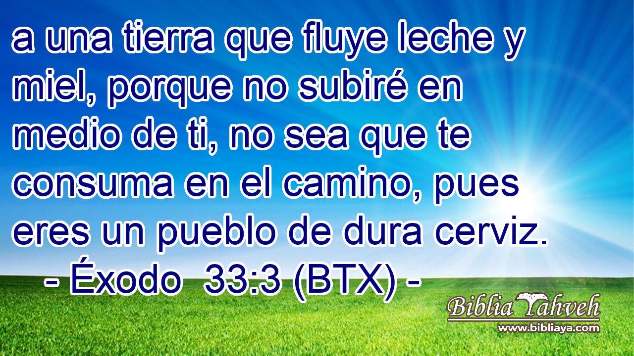 a una tierra que fluye leche y miel, porque no subiré en medio de ti, no sea que te consuma en el camino, pues eres un pueblo de dura cerviz.