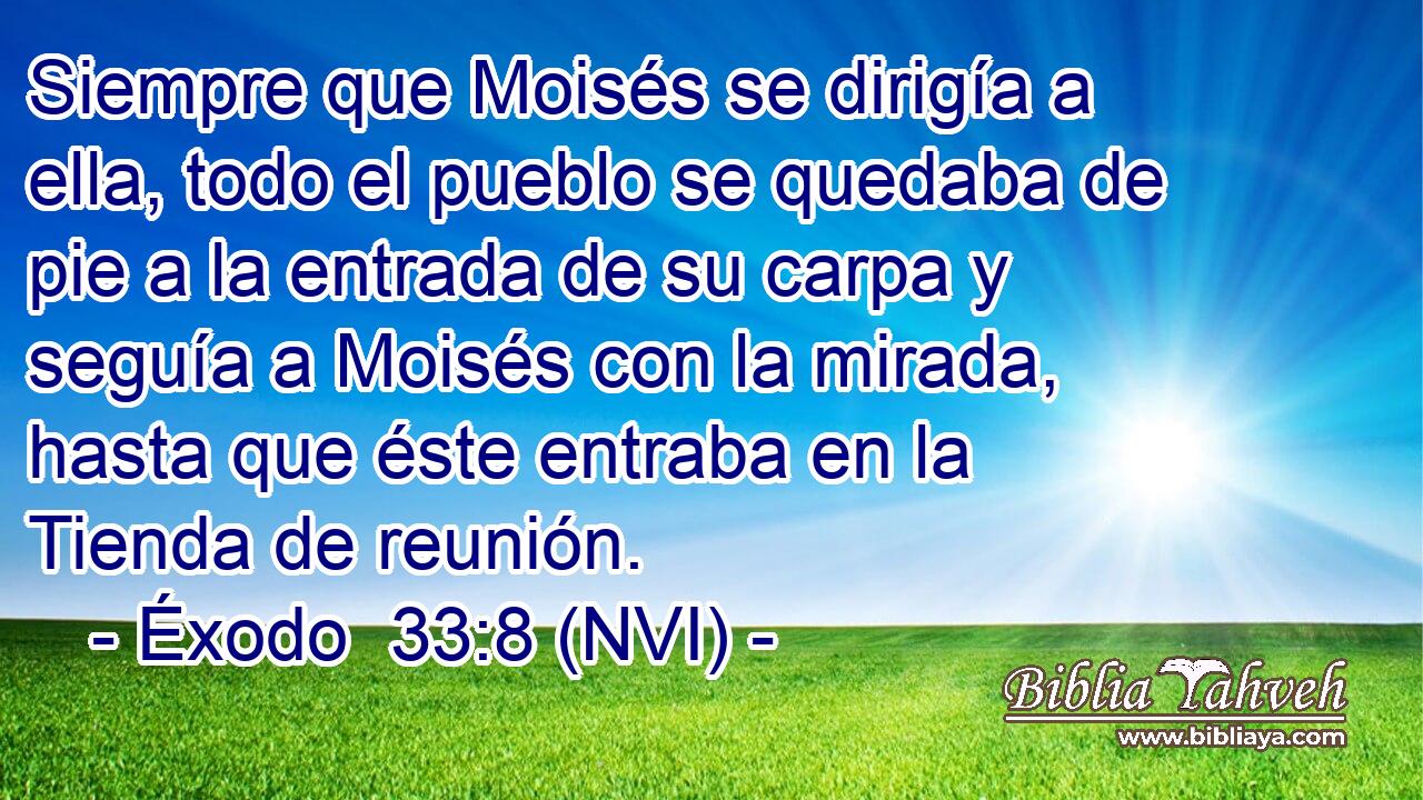  Siempre que Moisés se dirigía a ella, todo el pueblo se quedaba de pie a la entrada de su carpa y seguía a Moisés con la mirada, hasta que éste entraba en la Tienda de reunión. 