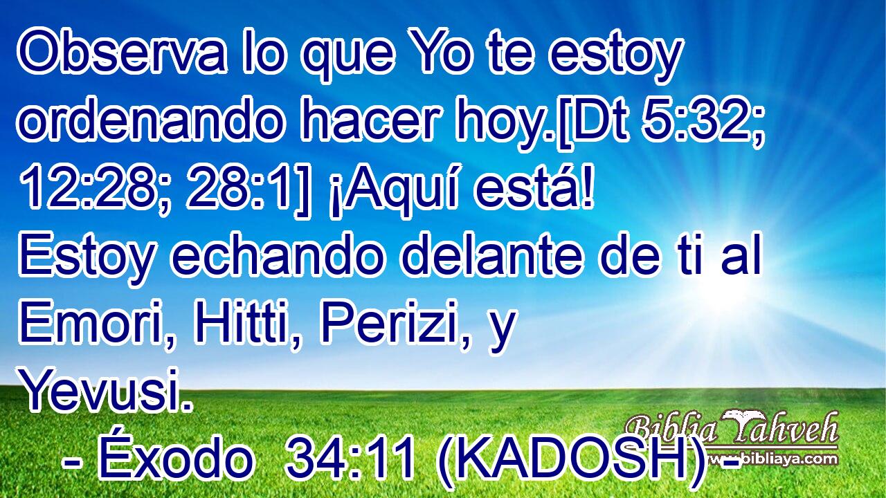  Observa lo que Yo te estoy ordenando hacer hoy.[Dt 5:32; 12:28; 28:1] ¡Aquí está! Estoy echando delante de ti al Emori, Hitti, Perizi, y Yevusi. 