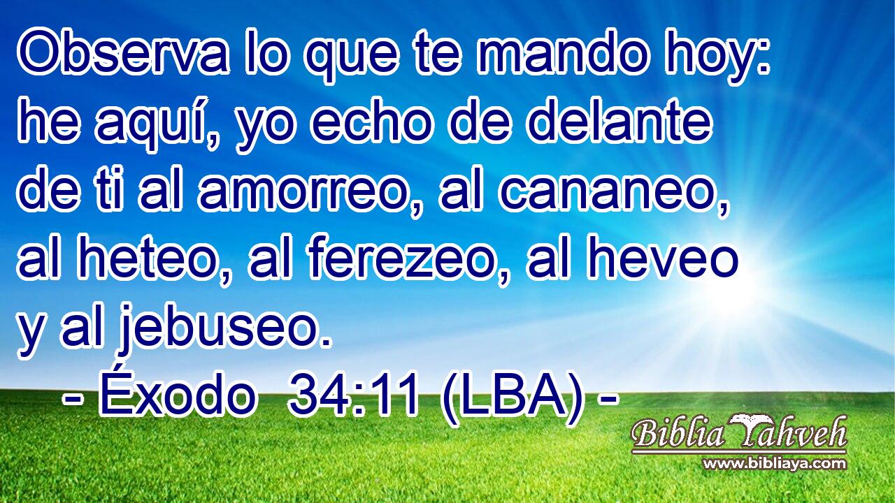 Observa lo que te mando hoy: he aquí, yo echo de delante de ti al amorreo, al cananeo, al heteo, al ferezeo, al heveo y al jebuseo.