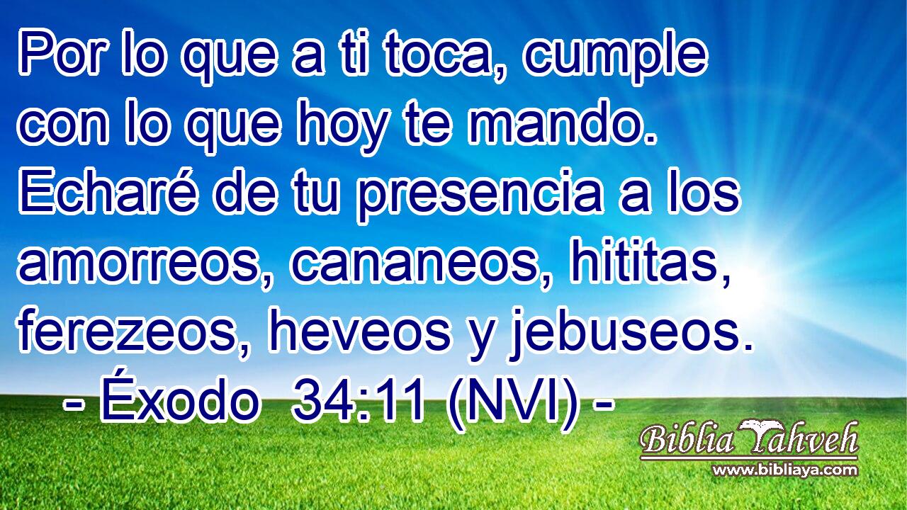  Por lo que a ti toca, cumple con lo que hoy te mando. Echaré de tu presencia a los amorreos, cananeos, hititas, ferezeos, heveos y jebuseos. 