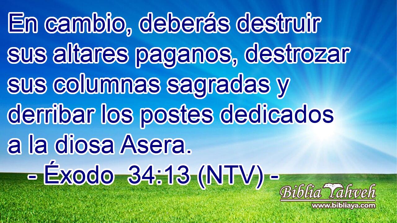 En cambio, deberás destruir sus altares paganos, destrozar sus columnas sagradas y derribar los postes dedicados a la diosa Asera.