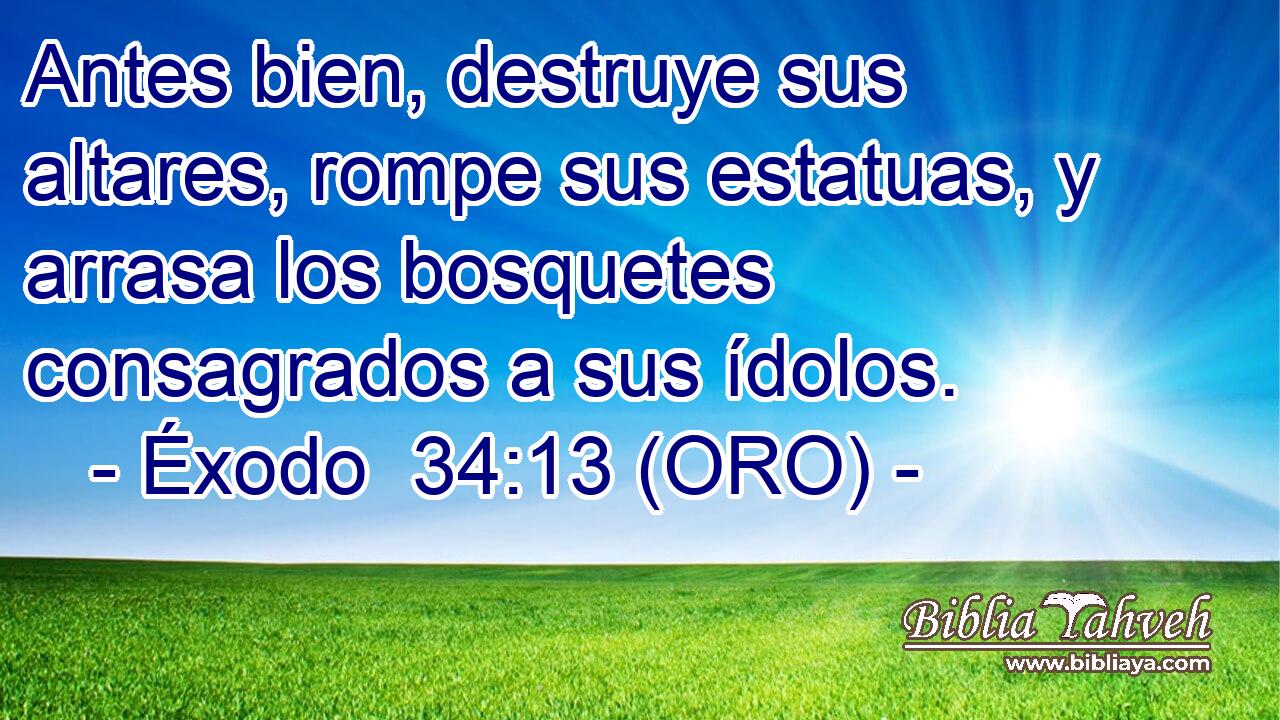  Antes bien, destruye sus altares, rompe sus estatuas, y arrasa los bosquetes consagrados a sus ídolos. 