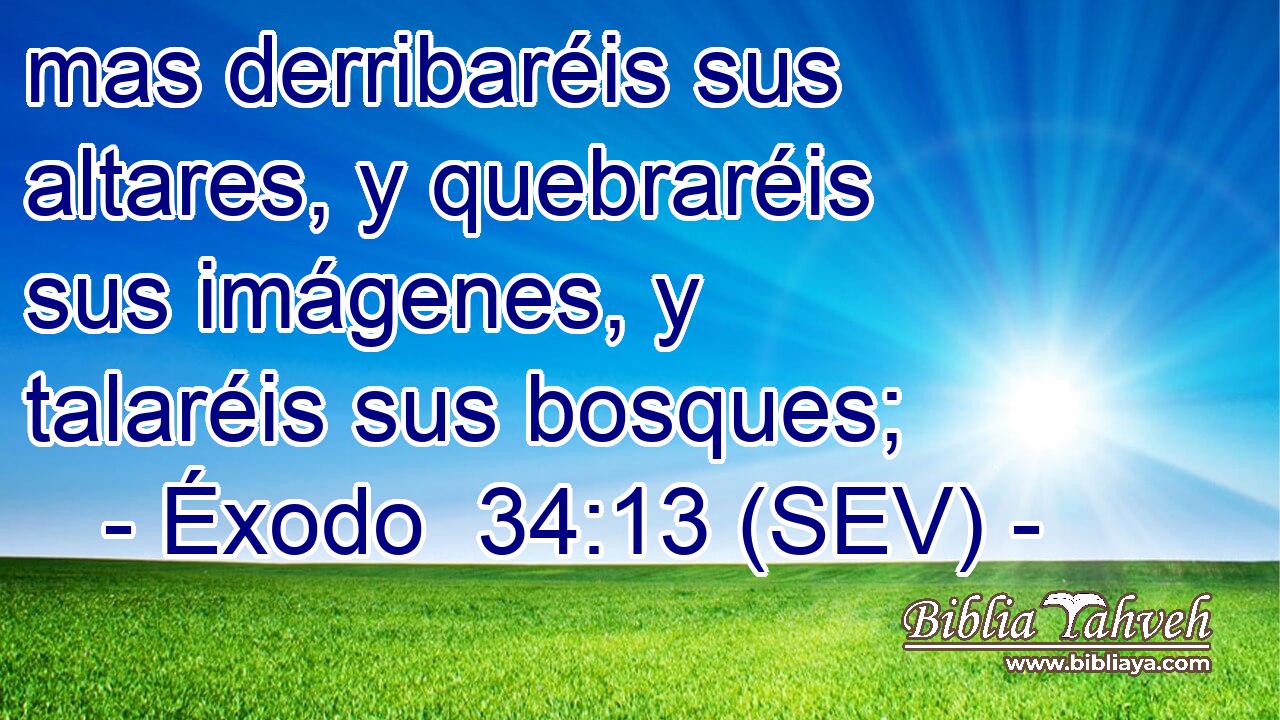 mas derribaréis sus altares, y quebraréis sus imágenes, y talaréis sus bosques;