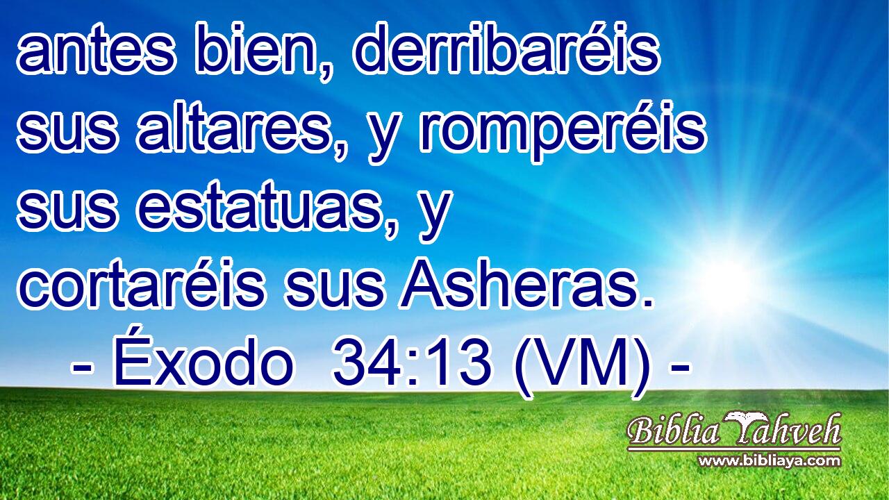  antes bien, derribaréis sus altares, y romperéis sus estatuas, y cortaréis sus Asheras. 