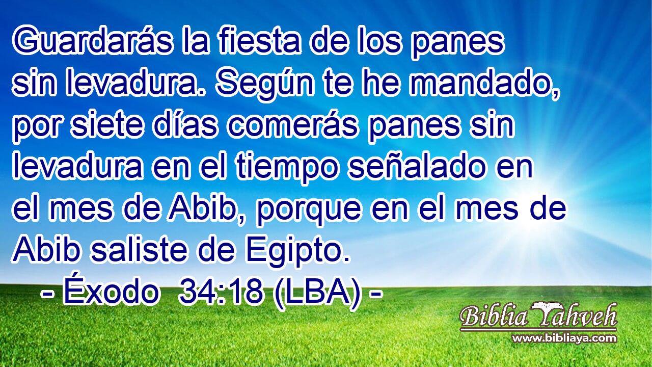 Guardarás la fiesta de los panes sin levadura. Según te he mandado, por siete días comerás panes sin levadura en el tiempo señalado en el mes de Abib, porque en el mes de Abib saliste de Egipto.