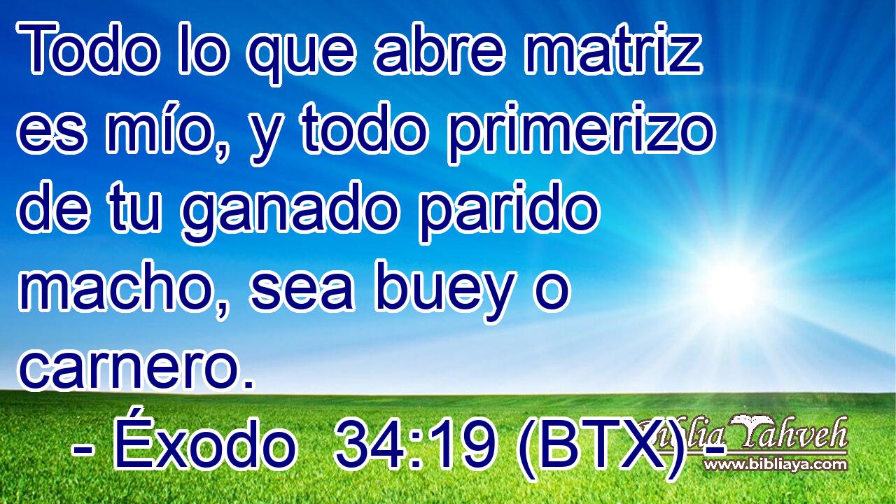 Todo lo que abre matriz es mío, y todo primerizo de tu ganado parido macho, sea buey o carnero.