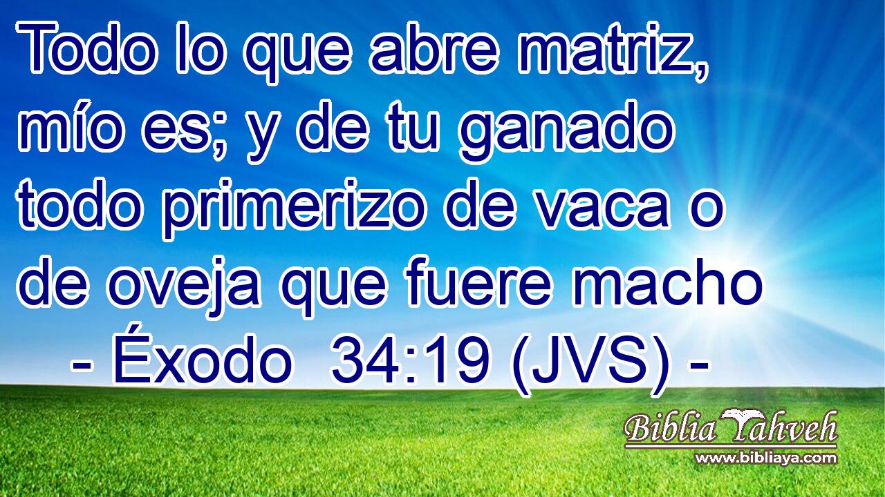 Todo lo que abre matriz, mío es; y de tu ganado todo primerizo de vaca o de oveja que fuere macho