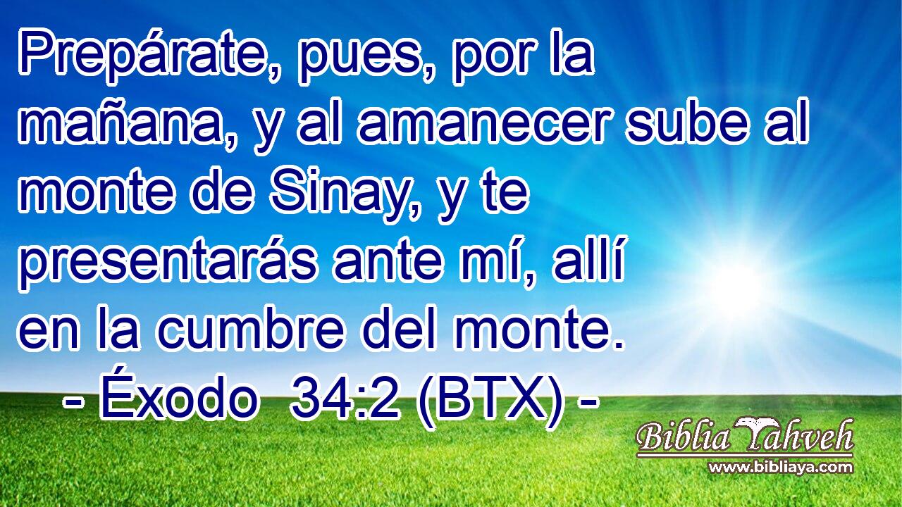 Prepárate, pues, por la mañana, y al amanecer sube al monte de Sinay, y te presentarás ante mí, allí en la cumbre del monte.