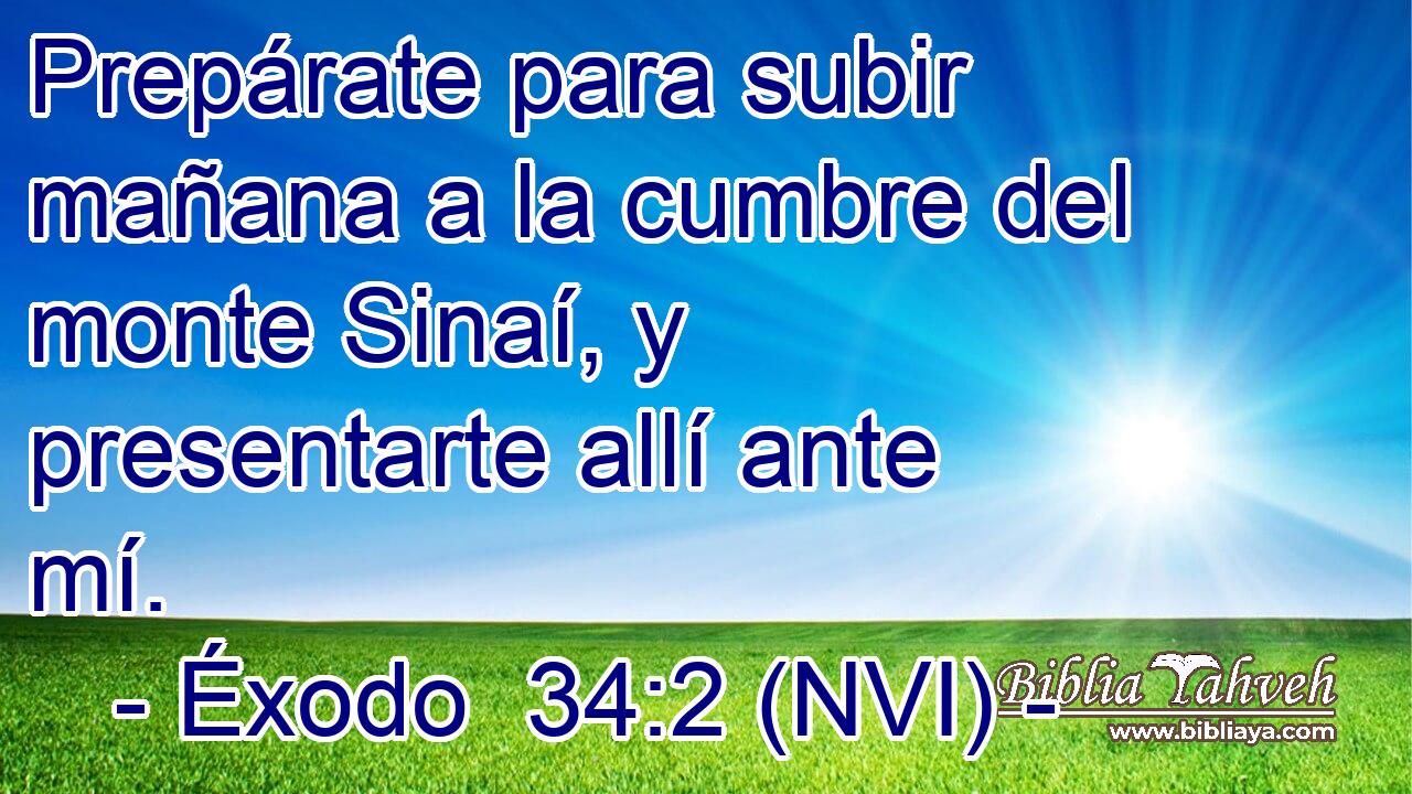  Prepárate para subir mañana a la cumbre del monte Sinaí, y presentarte allí ante mí. 
