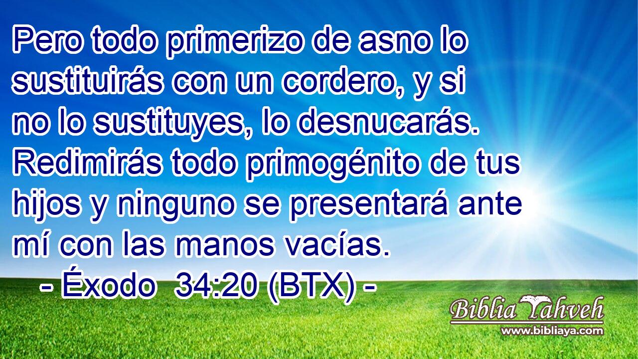 Pero todo primerizo de asno lo sustituirás con un cordero, y si no lo sustituyes, lo desnucarás. Redimirás todo primogénito de tus hijos y ninguno se presentará ante mí con las manos vacías.