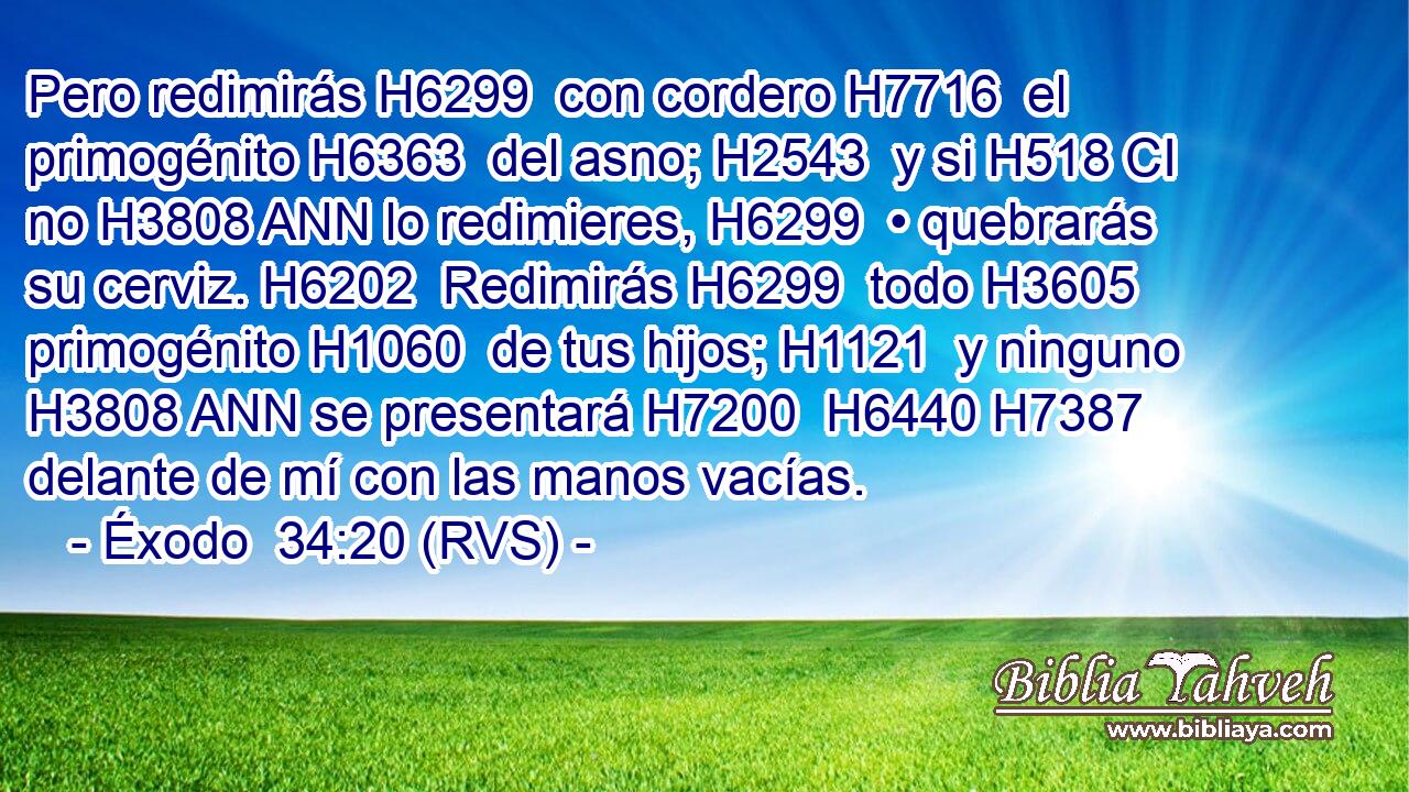 Pero redimirás H6299  con cordero H7716  el primogénito H6363  del asno; H2543  y si H518 CI no H3808 ANN lo redimieres, H6299  • quebrarás su cerviz. H6202  Redimirás H6299  todo H3605  primogénito H1060  de tus hijos; H1121  y ninguno H3808 ANN se presentará H7200  H6440 H7387 delante de mí con las manos vacías. 