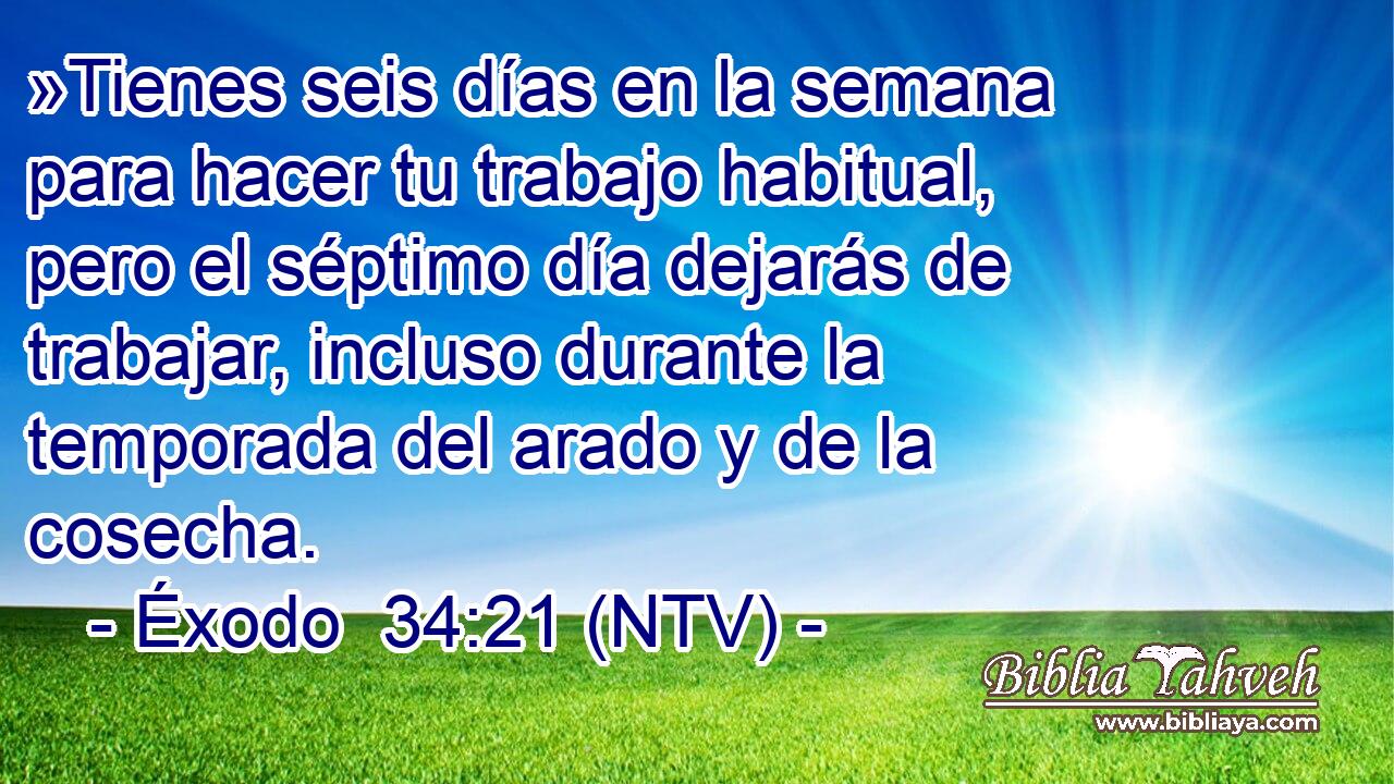 »Tienes seis días en la semana para hacer tu trabajo habitual, pero el séptimo día dejarás de trabajar, incluso durante la temporada del arado y de la cosecha.