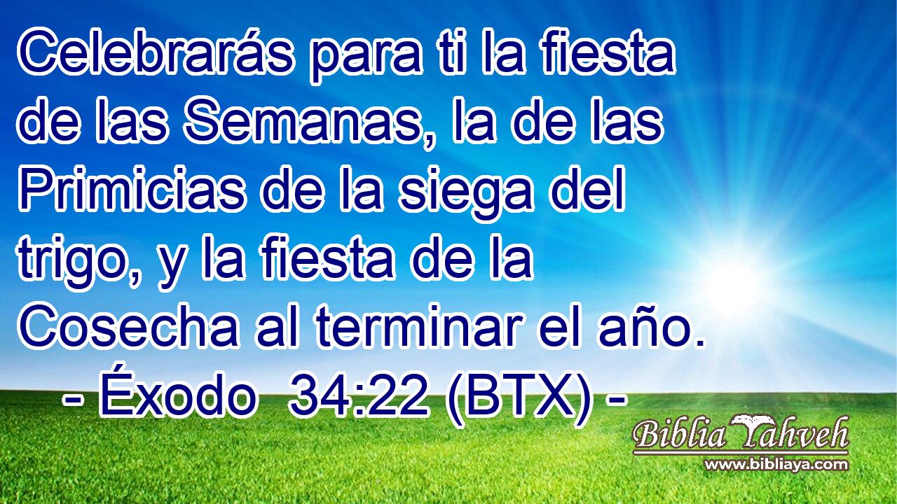 Celebrarás para ti la fiesta de las Semanas, la de las Primicias de la siega del trigo, y la fiesta de la Cosecha al terminar el año.