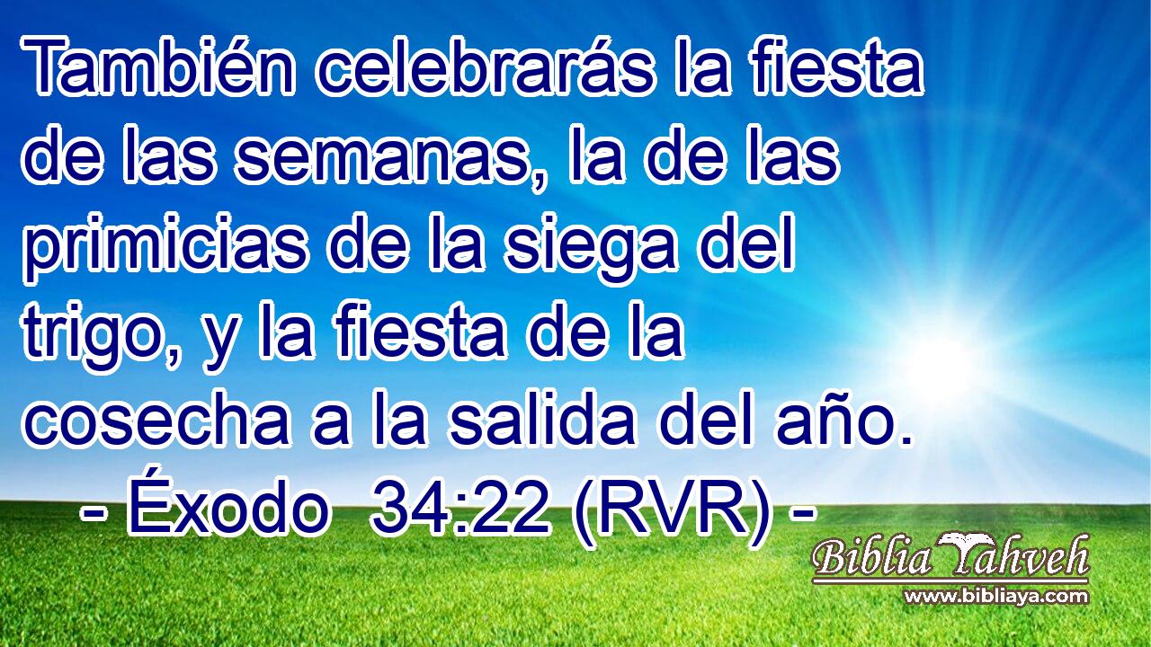 También celebrarás la fiesta de las semanas, la de las primicias de la siega del trigo, y la fiesta de la cosecha a la salida del año.